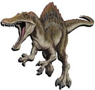 Spino.jpg (18 КБ) Spino